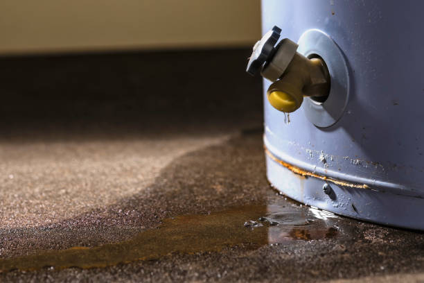 Best Water damage contractors near me  in Kitty Hawk, NC