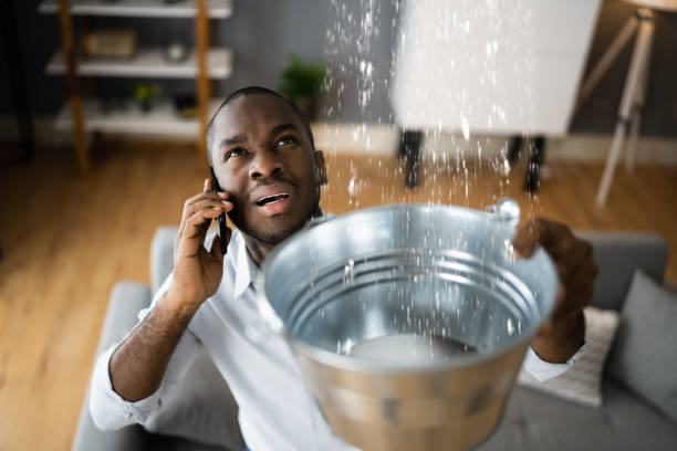 Best Water damage mitigation services  in Kitty Hawk, NC