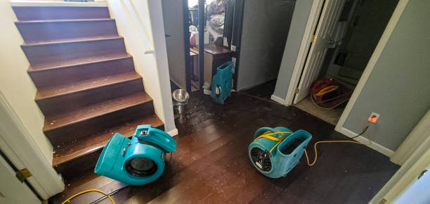 Best Water damage restoration process  in Kitty Hawk, NC