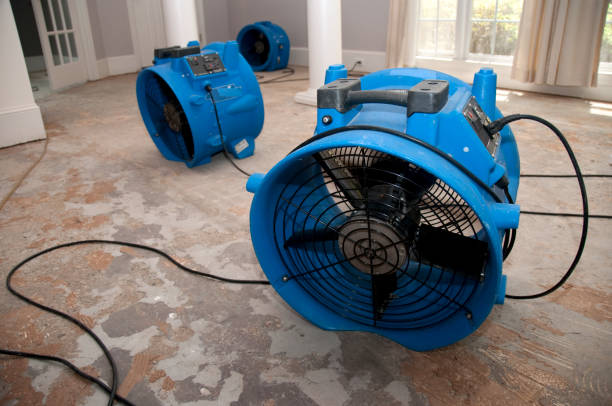 Kitty Hawk, NC Water damage restoration Company