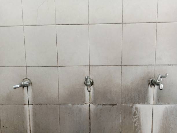 Best Water damage restoration near me  in Kitty Hawk, NC