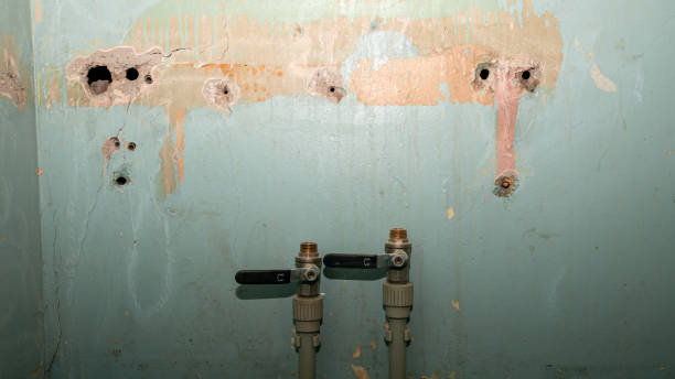 Best Professional water damage repair  in Kitty Hawk, NC