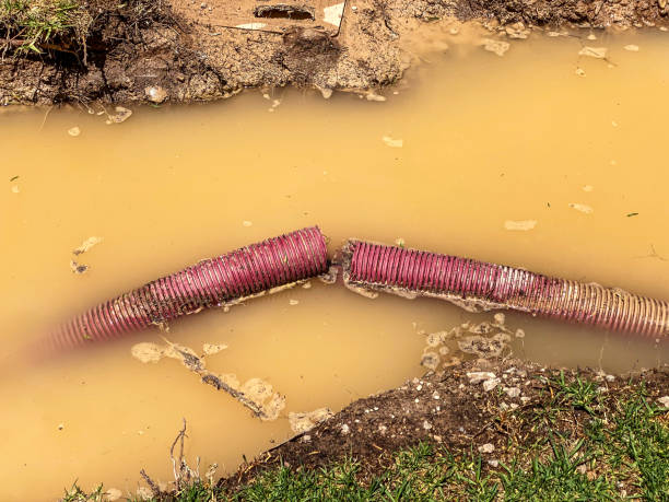 Best Water damage contractors near me  in Kitty Hawk, NC
