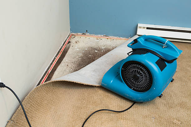 Best 24-hour water damage restoration  in Kitty Hawk, NC